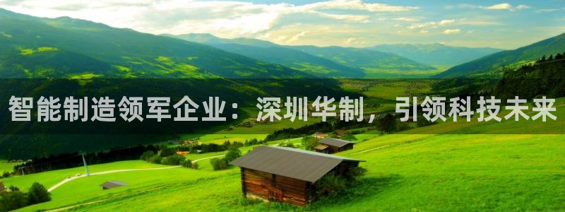 彩神网能赚钱是怎么回事