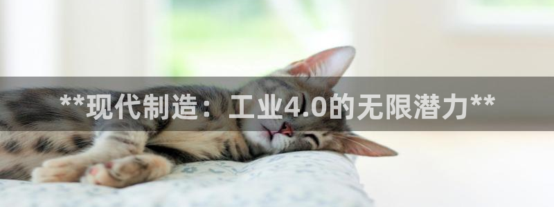 彩神v秘聊号码：**现代制造：工业4.0的无限潜力**