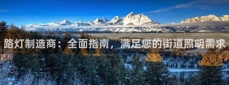彩神数码科技有限公司：路灯制造商：全面指南，满足您的街道照明需求