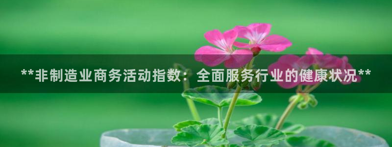 彩神Vll：**非制造业商务活动指数：全面服务行业的健康状况**