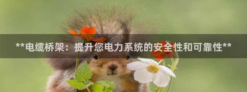 彩神购彩-购彩大厅入口下载：**电缆桥架：提升您电力系统的安