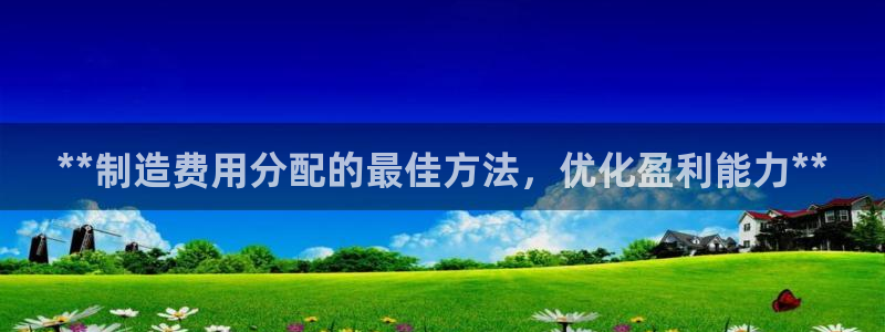 彩神v8手机客户端在哪：**制造费用分配的最佳方法，优化盈利能力**