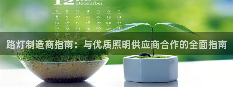 彩神v8下载网址：路灯制造商指南：与优质照明供应商合作的全面指南