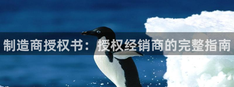 彩神大发三期计划网站：制造商授权书：授权经销商的完整指南