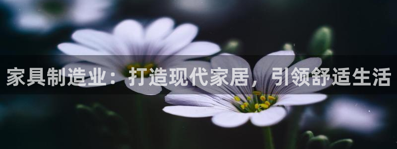 彩神V8有限公司：家具制造业：打造现代家居，引领舒适生活
