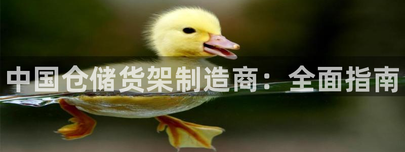 新版彩神v8登录：中国仓储货架制造商：全面指南