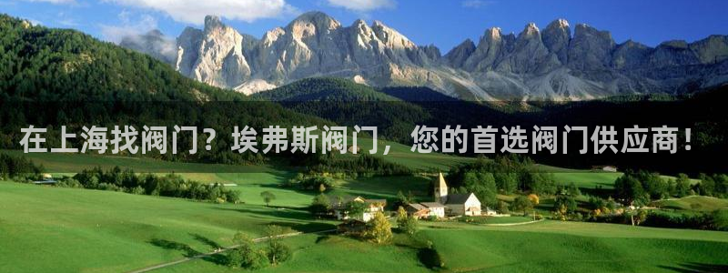 所有彩神购买首页中心：在上海找阀门？埃弗斯阀门，您的首选阀门供应商！