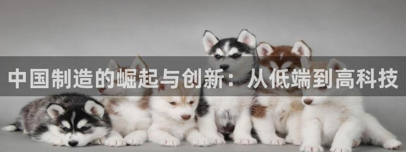 彩神购彩购彩大厅入口v：中国制造的崛起与创新：从低端到高科技