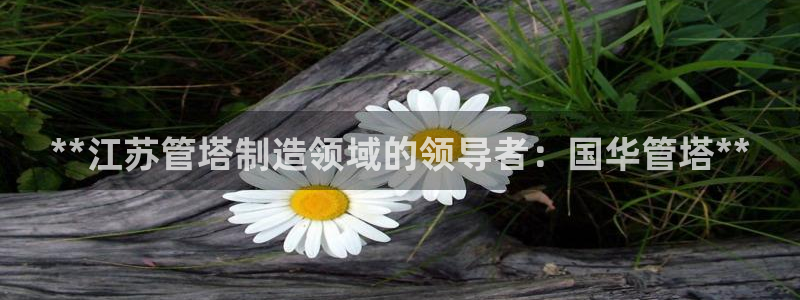 彩神vll首页：**江苏管塔制造领域的领导者：国华管塔**