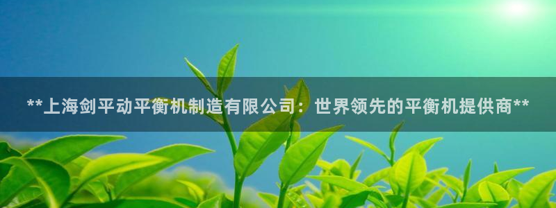 彩神v8平台正规吗可靠吗：**上海剑平动平衡机制造有限公司：世界领先的平衡机提供商**