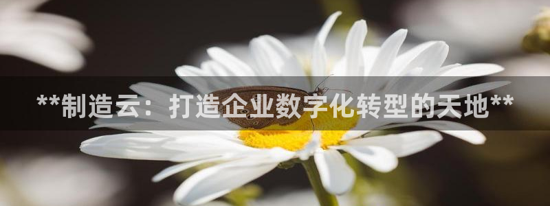 彩神平台是什么套路：**制造云：打造企业数字化转型的天地**