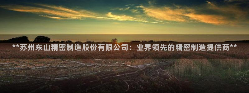 彩神vlll(中国)百度百科：**苏州东山精密制造股份有限公司：业界领先的精密制造提供商**