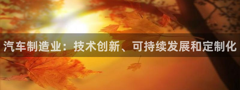 彩神争霸官方下载2017：汽车制造业：技术创新、可持续发展和定制化