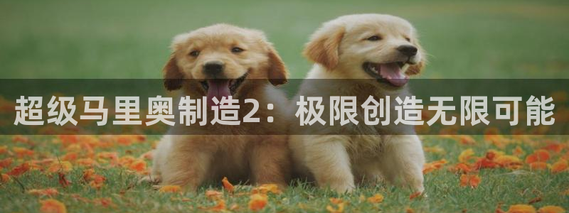 彩神vll官网在线登录：超级马里奥制造2：极限创造无限可能