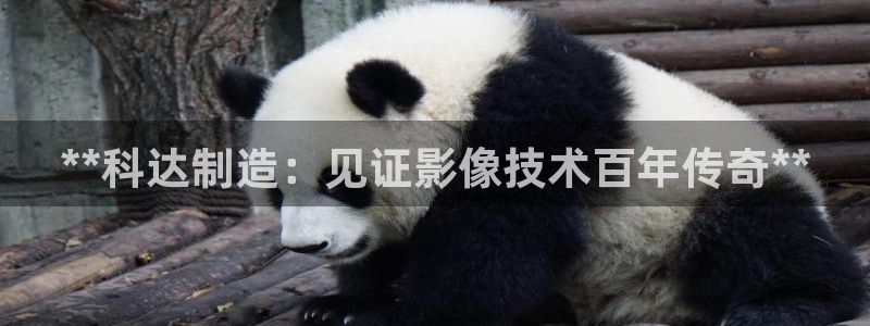 彩神通官网下载：**科达制造：见证影像技术百年传奇**