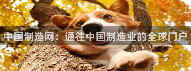 彩神v天天：中国制造网：通往中国制造业的全球门户