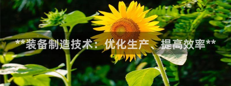 彩神新微聊：**装备制造技术：优化生产、提高效率**
