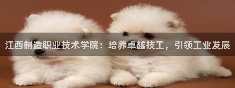 彩神vl购彩大厅：江西制造职业技术学院：培养卓越技工，引领工