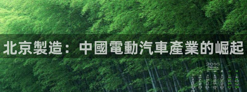 彩神大发是不是人为操作：北京製造：中國電動汽車產業的崛起