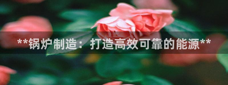 彩神vll首页：**锅炉制造：打造高效可靠的能源**