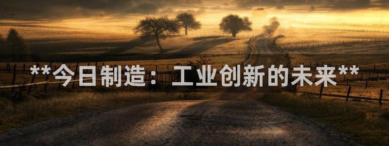 彩神V集团有限公司：**今日制造：工业创新的未来**