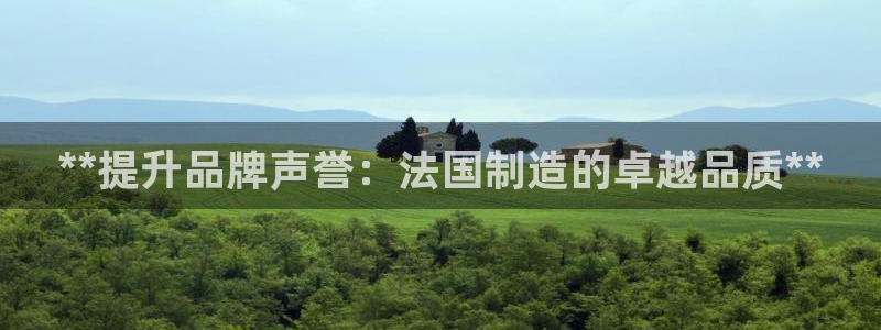 彩神是真的吗：**提升品牌声誉：法国制造的卓越品质**
