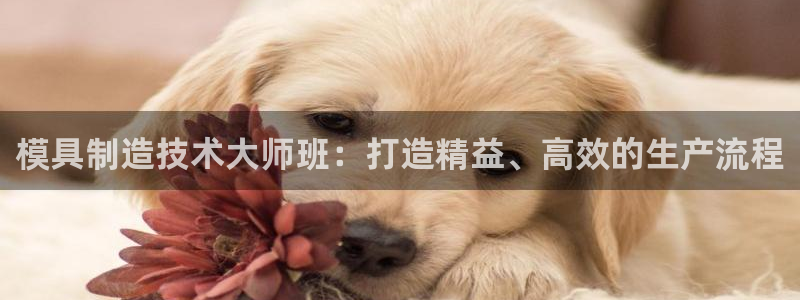 彩神ix平台：模具制造技术大师班：打造精益、高效的生产流程