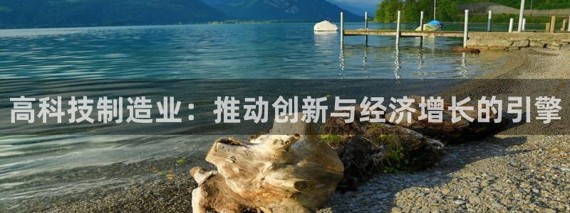 彩神通关注码金码对应码：高科技制造业：推动创新与经济增长的引