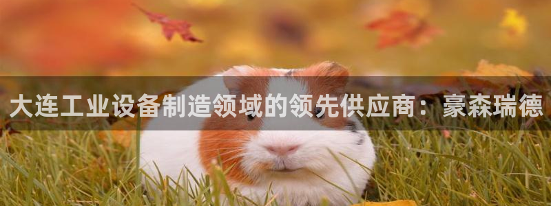 彩神8官网版是正规的吗：大连工业设备制造领域的领先供应商：豪