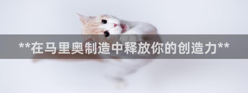 下载彩神通关注金码：**在马里奥制造中释放你的创造力**