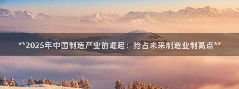 彩神v8手机客户端：**2025年中国制造产业的崛起：抢占未