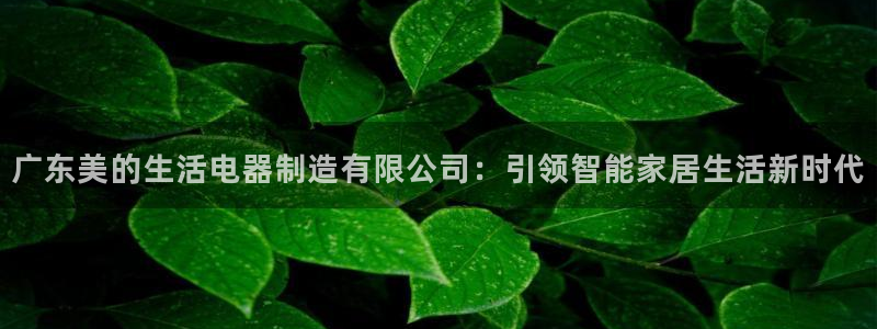 下载彩神通关注码：广东美的生活电器制造有限公司：引领智能家居生活新时代