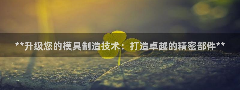 彩神V集团公司：**升级您的模具制造技术：打造卓越的精密部件