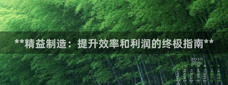 彩神v1破解器：**精益制造：提升效率和利润的终极指南**