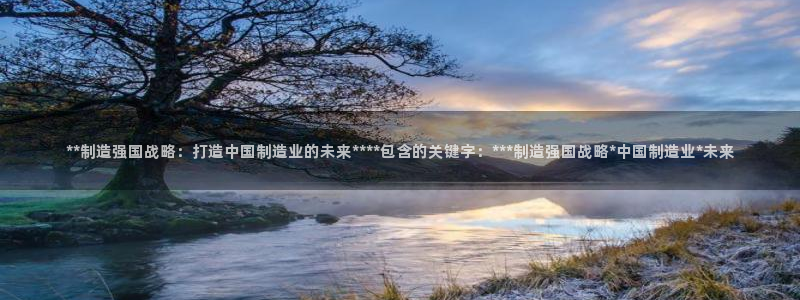 彩神v8是一个什么平台游戏：**制造强国战略：打造中国制造业