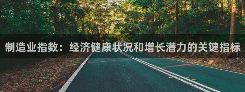 彩神v1官网：制造业指数：经济健康状况和增长潜力的关键指标