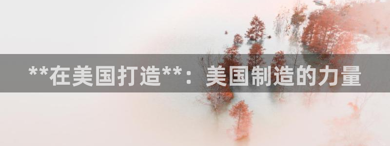 彩神是怎样一个平台赚钱的：**在美国打造**：美国制造的力量