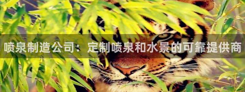 彩神V3大赢家：喷泉制造公司：定制喷泉和水景的可靠提供商