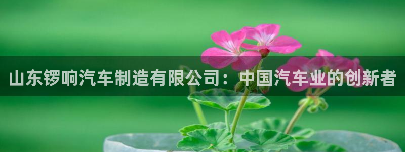 彩神vi争霸官网：山东锣响汽车制造有限公司：中国汽车业的创新者