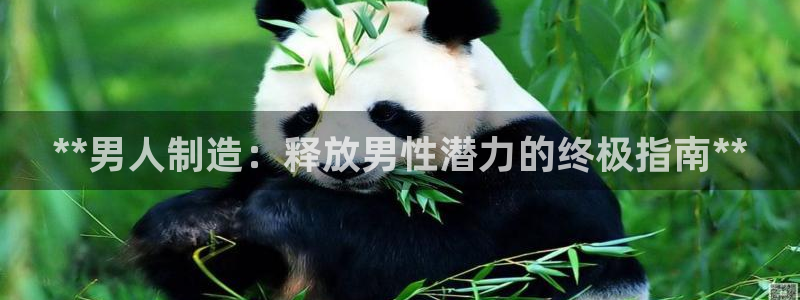彩神vii购彩l心：**男人制造：释放男性潜力的终极指南**