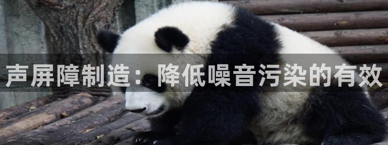 彩神ii官方网：声屏障制造：降低噪音污染的有效