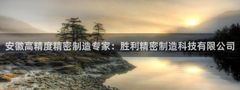 彩神购彩-购彩大厅入口36fr：安徽高精度精密制造专家：胜利精密制造科技有限公司
