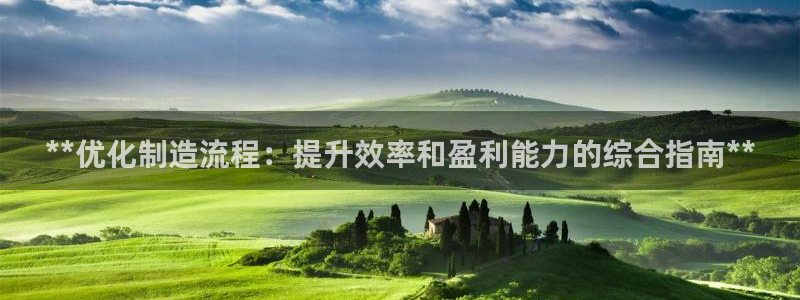 彩神v8手机客户端下载：**优化制造流程：提升效率和盈利能力