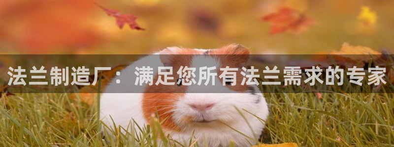 彩神通关注码金码对应码：法兰制造厂：满足您所有法兰需求的专家