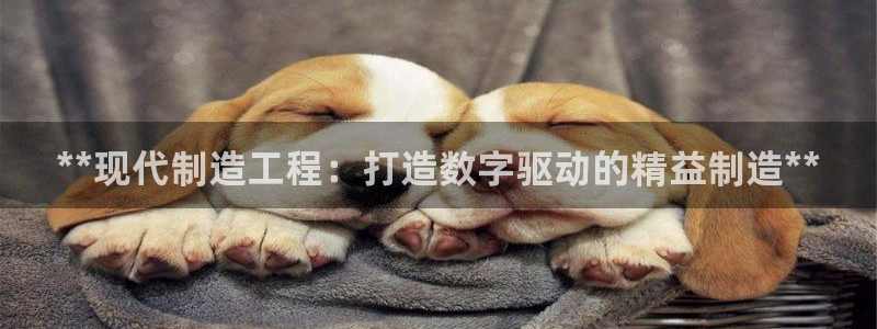 彩神ll能赚钱吗：**现代制造工程：打造数字驱动的精益制造*