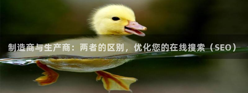 下载彩神争霸谁与我争锋：制造商与生产商：两者的区别，优化您的在线搜索（SEO）