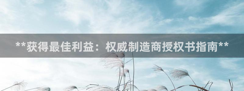 彩神网官网登录：**获得最佳利益：权威制造商授权书指南**