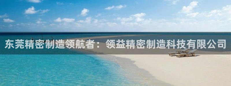 彩神平台是什么套路：东莞精密制造领航者：领益精密制造科技有限