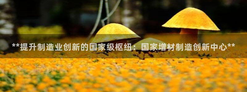 天天赢彩神：**提升制造业创新的国家级枢纽：国家增材制造创新中心**