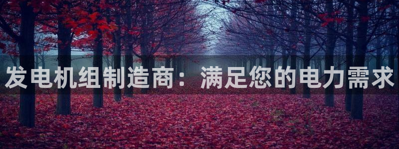 彩神网合法吗：发电机组制造商：满足您的电力需求